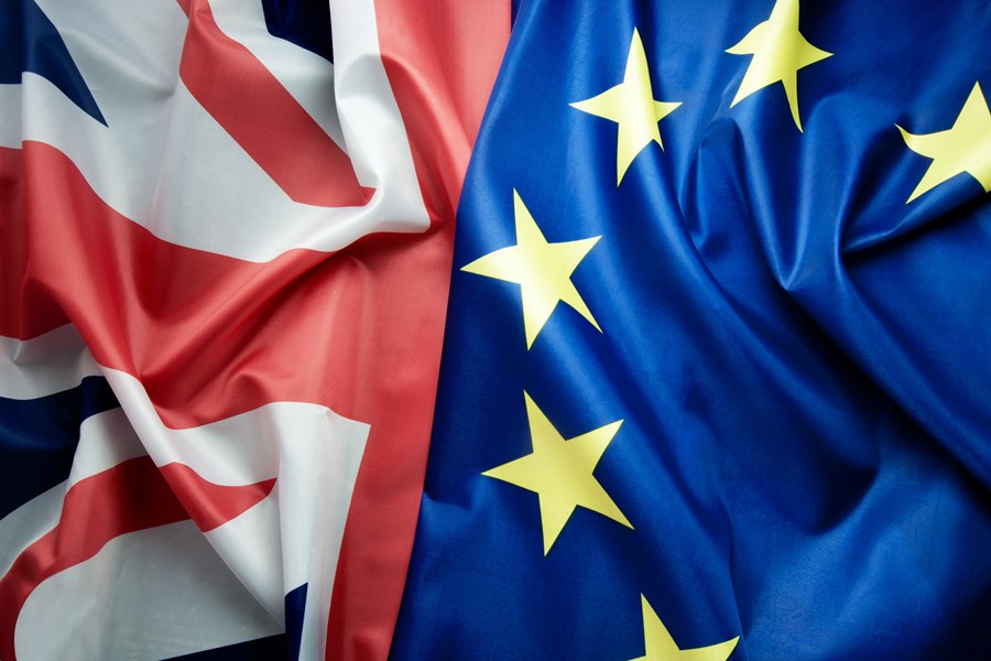 EU And UK Flags | Praxis