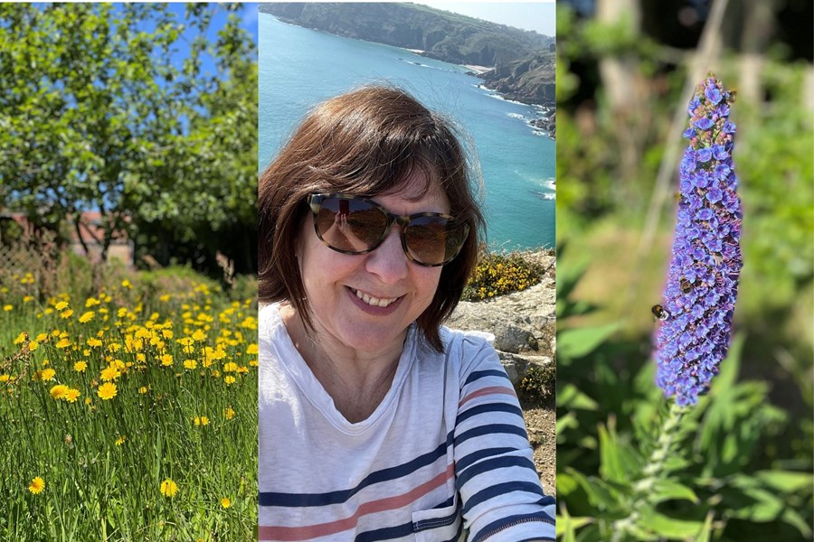 A collage featuring Tracey O'Neill on a coast walk. A photo of dandelions and lavender 