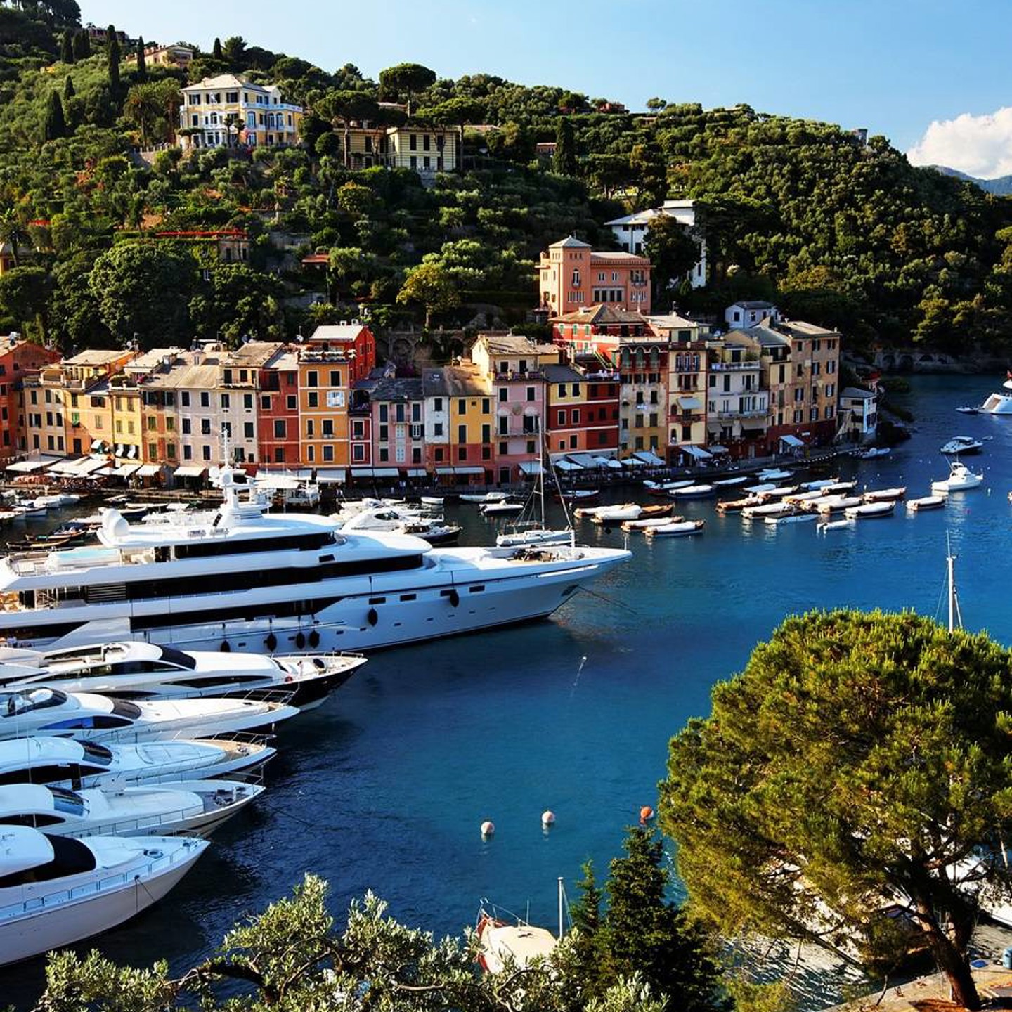 Superyachts In Pretty Harbour In Italy | Praxis