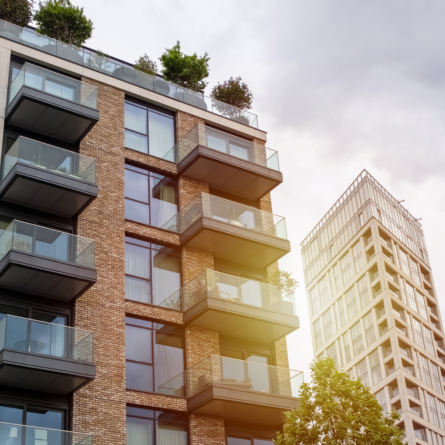 Real estate | Praxis