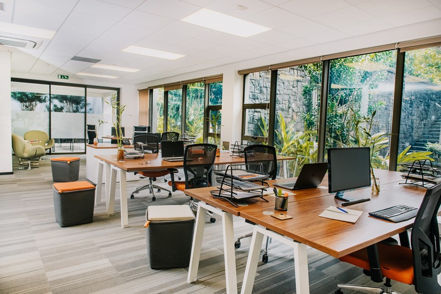 A photo of the modern Mauritius office. There are lots of wooden desks and chairs, and lots of greenery outside the windows